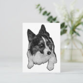 Snow-Path Postcard ポストカード (スタンド正面)