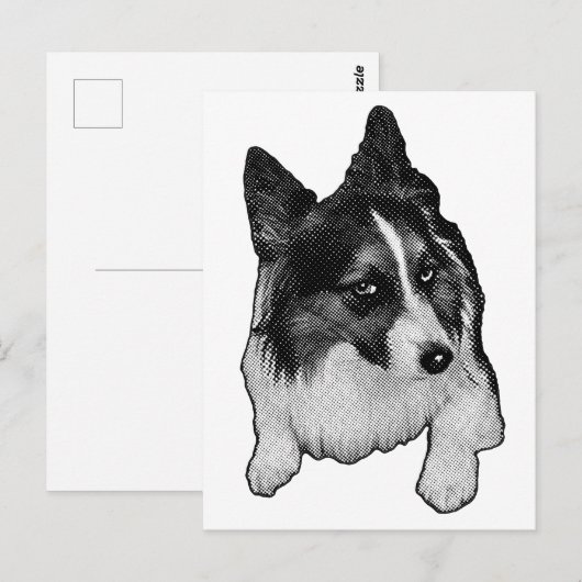 Snow-Path Postcard ポストカード (正面/裏面)