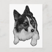 Snow-Path Postcard ポストカード (正面)