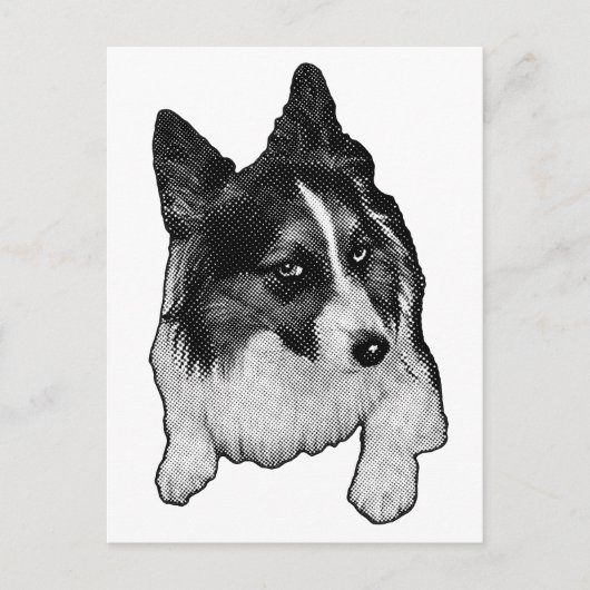 Snow-Path Postcard ポストカード (正面)