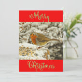 Snow Photo Cardのメリークリスマスロビン シーズンカード (スタンド正面)