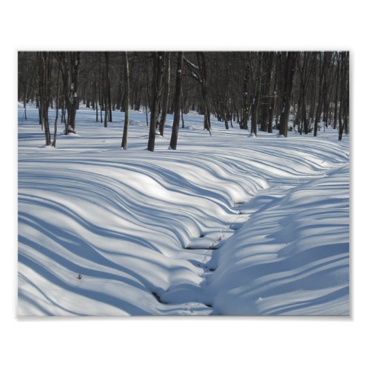 Snow Shadowsフォトプリント フォトプリント (正面)