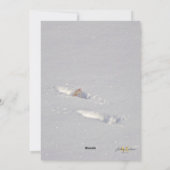 Snow Snowdog Design シーズンカード (裏面)