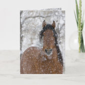 Snow Stallion Greeting Card 招待状 (正面)