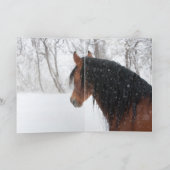 Snow Stallion Greeting Card 招待状 (内部)