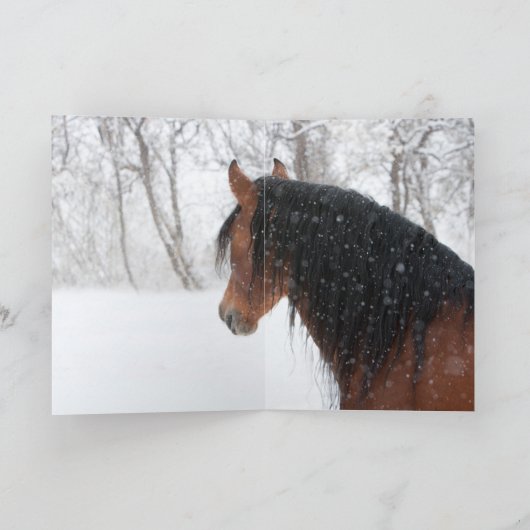 Snow Stallion Greeting Card 招待状 (内部)