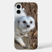 Snow White Meerkat, Case-Mate iPhoneケース (裏面)