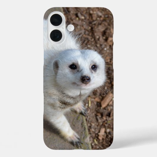 Snow White Meerkat, Case-Mate iPhoneケース (裏面)
