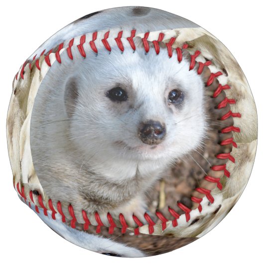 Snow White The Meerkat, Softball ソフトボール (正面右)