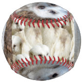 Snow White The Meerkat, Softball ソフトボール (裏面)