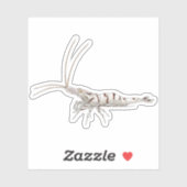 Snow Zebra Shrimp - Animal Sticker Collection シール (シート)