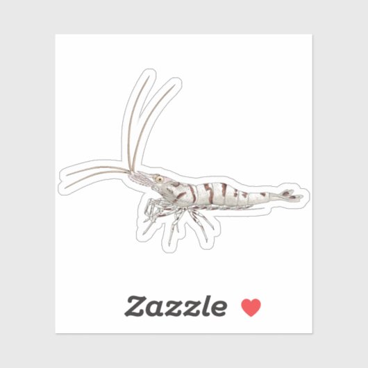 Snow Zebra Shrimp - Animal Sticker Collection シール (シート)
