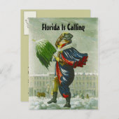 SNOWBIRDの発表の冬の住所郵便はがき 案内ポストカード (正面/裏面)