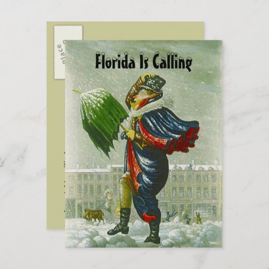 SNOWBIRDの発表の冬の住所郵便はがき 案内ポストカード (正面/裏面)