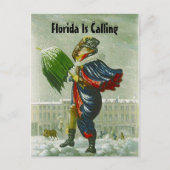 SNOWBIRDの発表の冬の住所郵便はがき 案内ポストカード (正面)