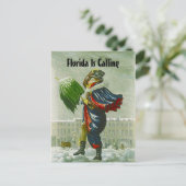 SNOWBIRDの発表の冬の住所郵便はがき 案内ポストカード (スタンド正面)