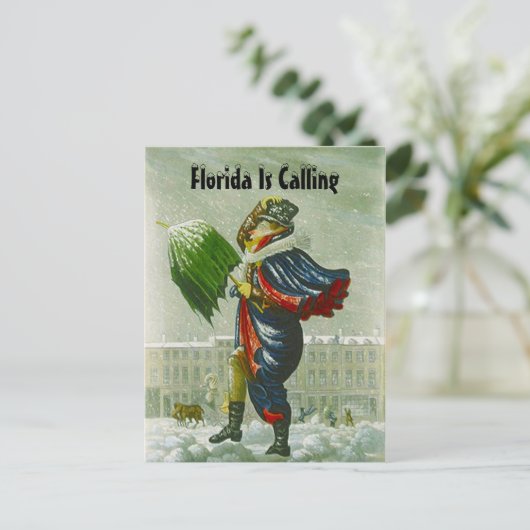 SNOWBIRDの発表の冬の住所郵便はがき 案内ポストカード (スタンド正面)