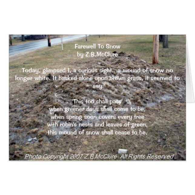 snowbirdの詩 (正面横)