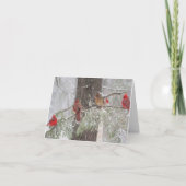 SnowBirds カード (正面)