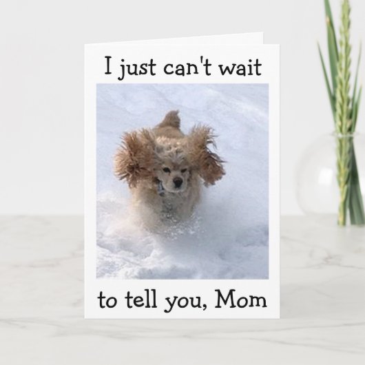 **SNOWBOUND COMEDIC DOG** FOR MOM'S誕生日 カード (正面)