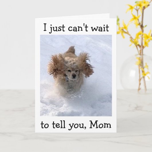 **SNOWBOUND COMEDIC DOG** FOR MOM'S誕生日 カード (黄色い花)
