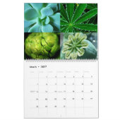 Snowcatcher 2026 Calendar カレンダー (3月 2027)