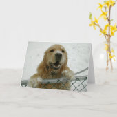 Snowdog カード (黄色い花)