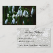 Snowdropの名刺 名刺 (正面/裏面)