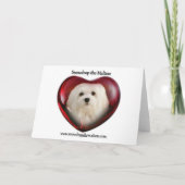 Snowdropマルタのイースターカード シーズンカード (裏面)