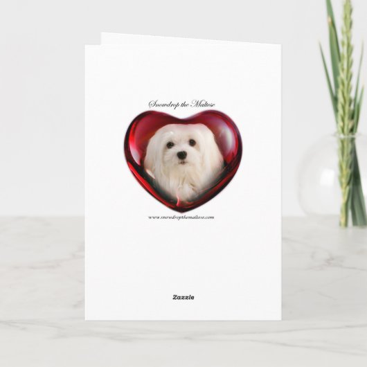 Snowdropマルタのイースター挨拶状 シーズンカード (裏面)