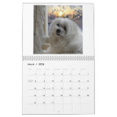 Snowdropマルタのカレンダー カレンダー (3月 2026)