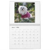 Snowdropマルタのカレンダー カレンダー (3月 2026)