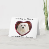 Snowdropマルタのクリスマスカード シーズンカード (裏面)