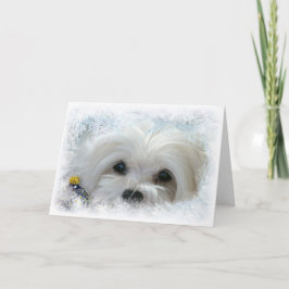 Snowdropマルタのクリスマスカード シーズンカード