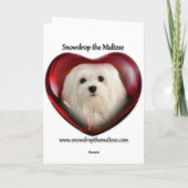 Snowdropマルタのクリスマスカード シーズンカード (裏面)