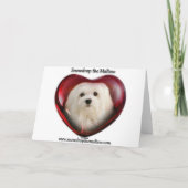 Snowdropマルタのクリスマスカード シーズンカード (裏面)