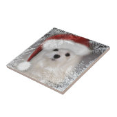 Snowdropマルタの装飾的なセラミックタイル タイル (側面)