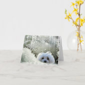 Snowdropマルチーズノートカード カード (黄色い花)