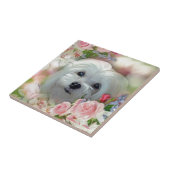 Snowdropマルチーズ タイル (側面)