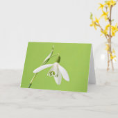 Snowdrop カード (黄色い花)