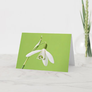 Snowdrop カード