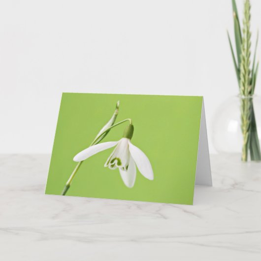Snowdrop カード (正面)