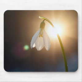 Snowdrop with Dewdrops in Sunlight マウスパッド