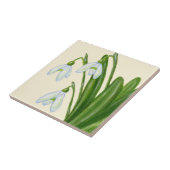 Snowdropsのタイル タイル (側面)