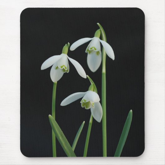 Snowdropsのmousepad マウスパッド (正面)