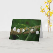 Snowdrops カード (黄色い花)