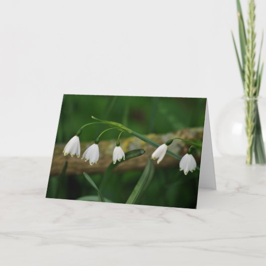 Snowdrops カード (正面)
