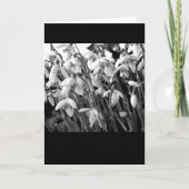 Snowdrops カード (正面)