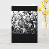 Snowdrops カード (黄色い花)