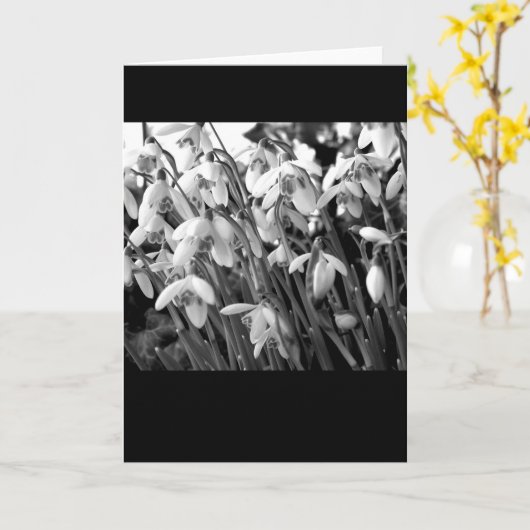 Snowdrops カード (黄色い花)